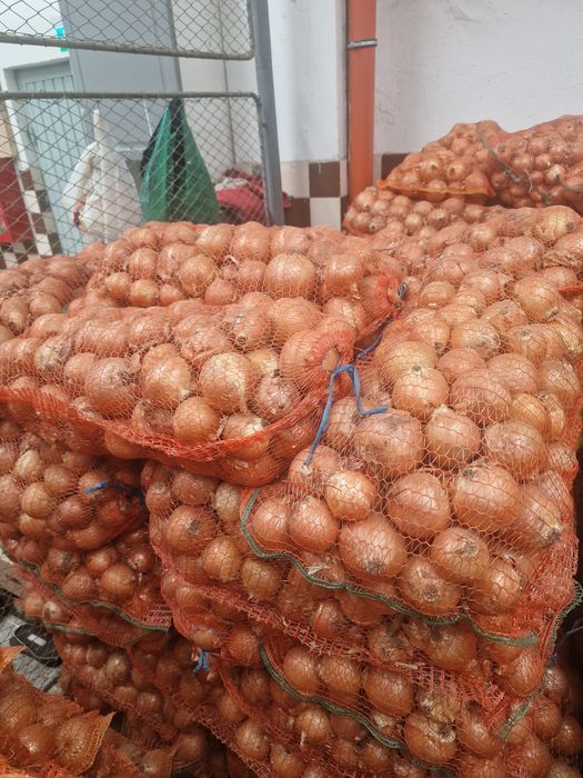 Ceapa romania calitate I