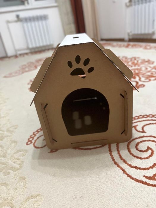 Домашний, ухоженный Амур