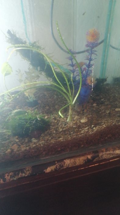 Аквариум 110литров полный комплект