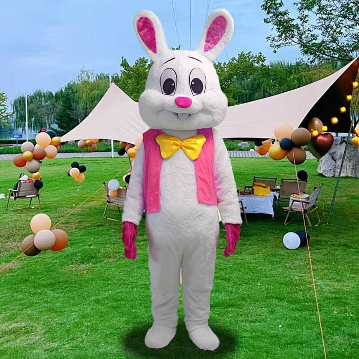 Мики Маус Заек Парти плюшен костюм за рожден ден 3 вида