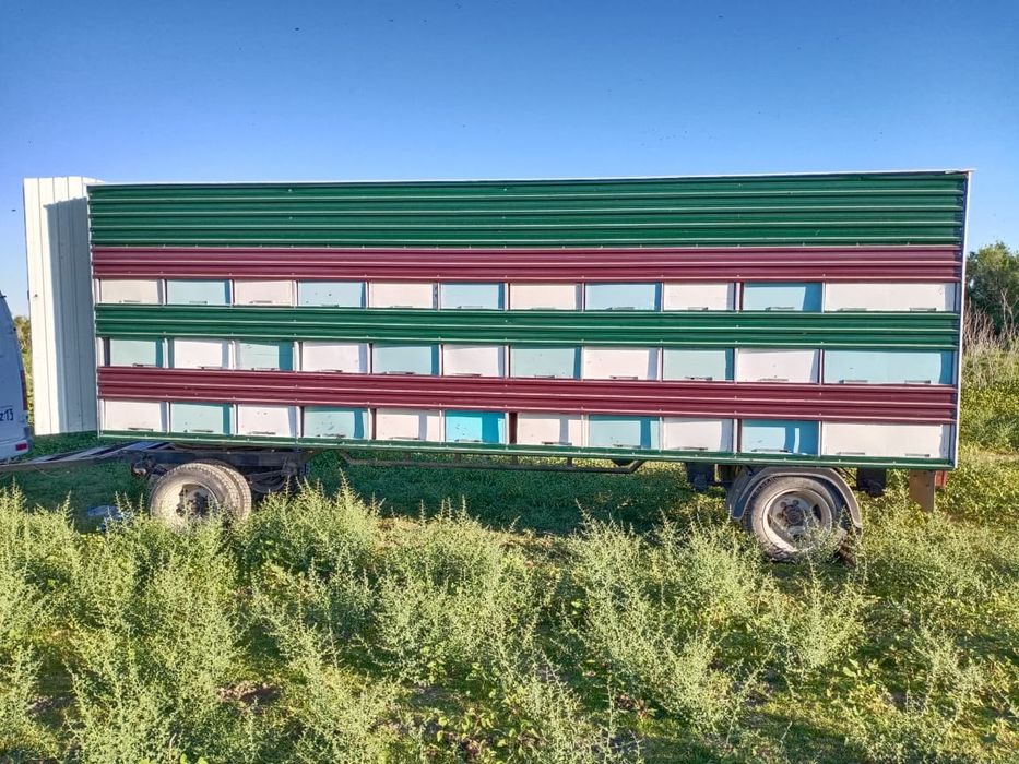 Прицеп пчеловодческий и газель