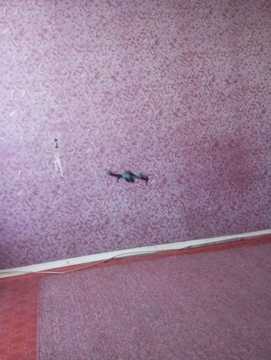 Квадрокоптер продаю дешево