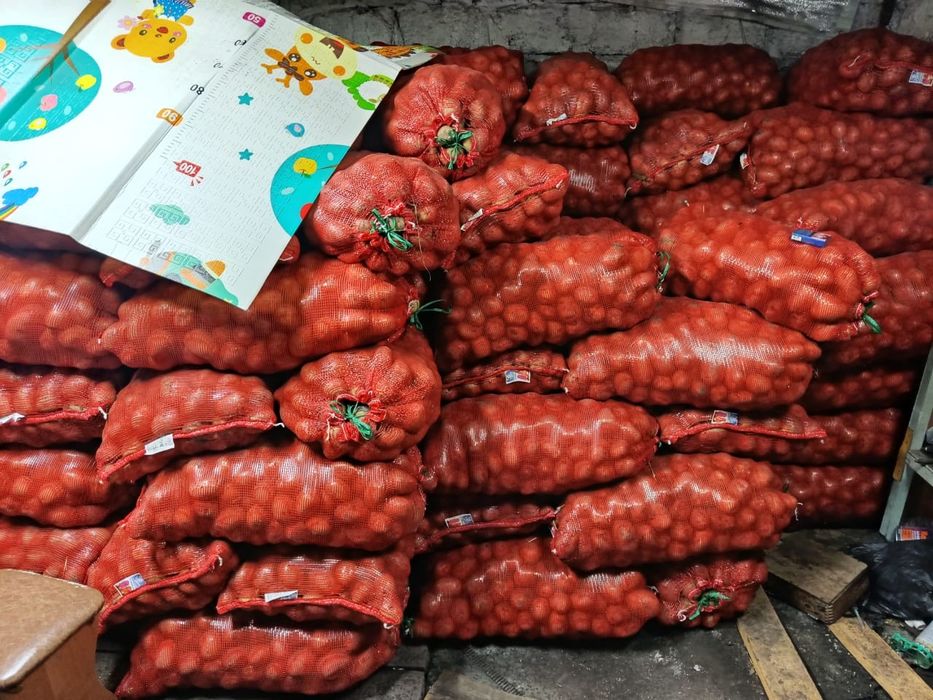 Картофель картофель