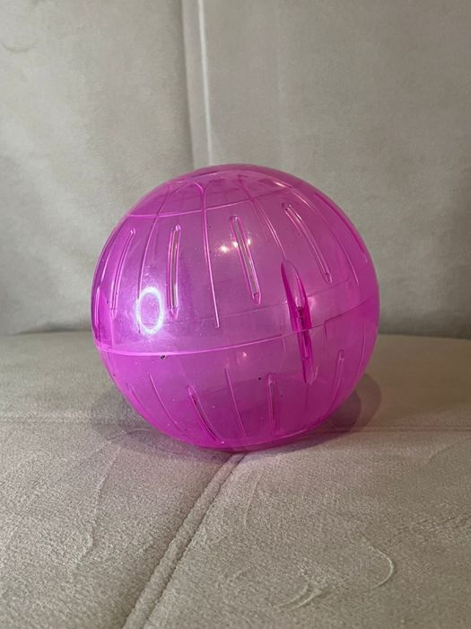 Продам хомяков с клеткой