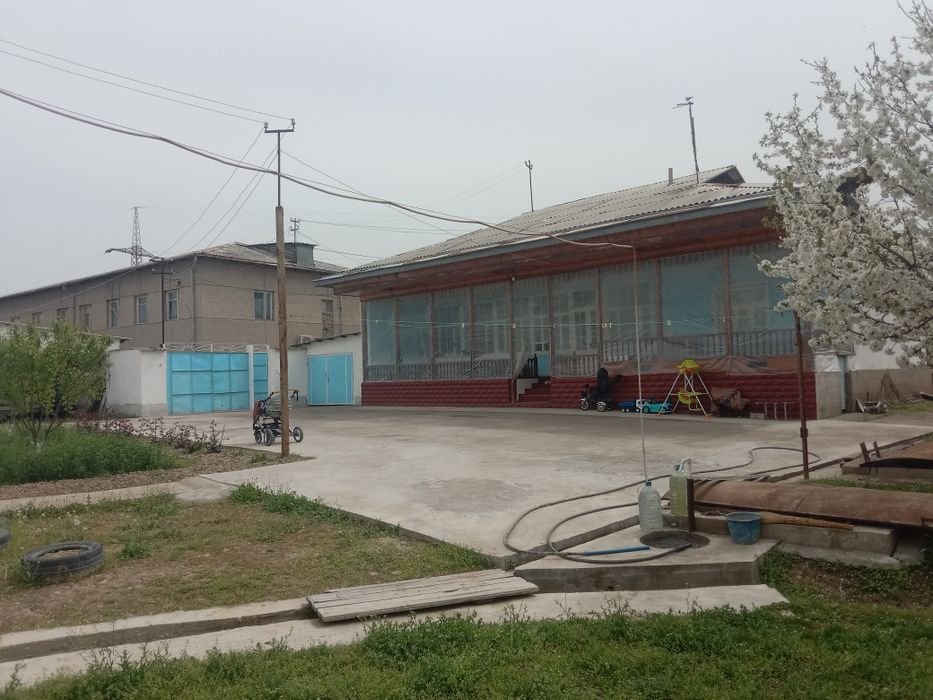 Срочна сотилади котта ховли