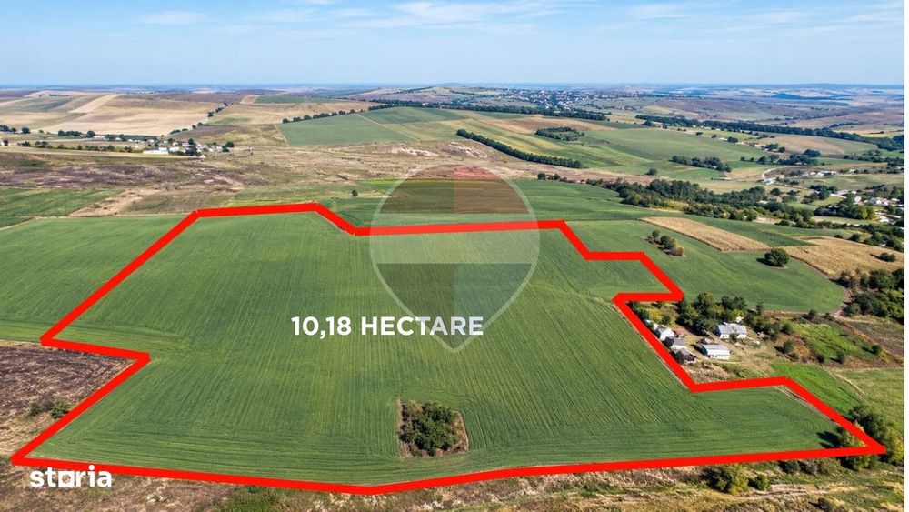 Teren De 10.18 Hectare, Compact, Buzeni/Bt,