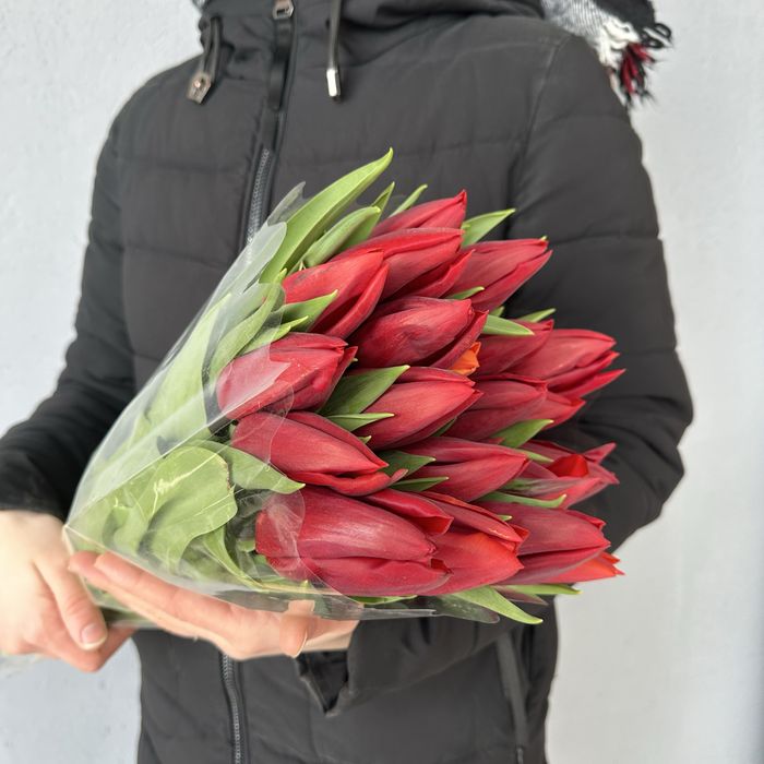 Большие Тюльпаны