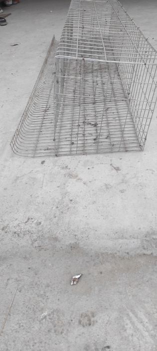 Клетки для кур несушек