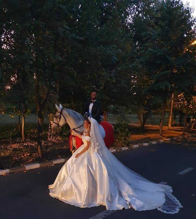 Trasura Nunta Mireasa Cai Foto Video