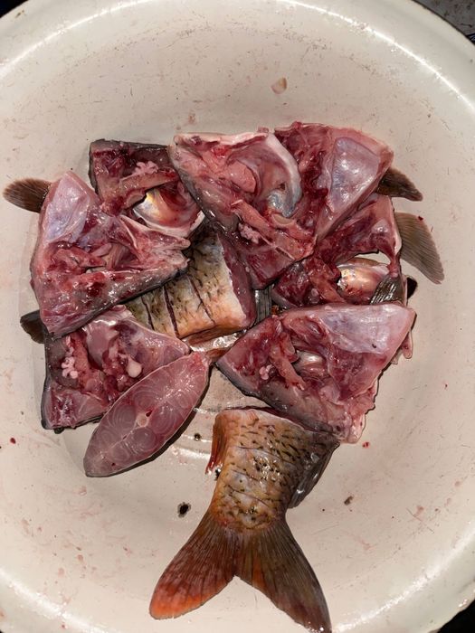 Сазан / Толстолоб / Беламур — сифатли ва ширин балиқлар!