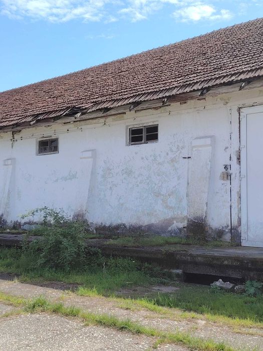 Hala, spatiu de vanzare sau de inchiriat 1270 mp