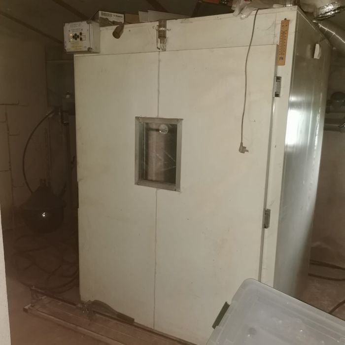 Incubator Oua Struti