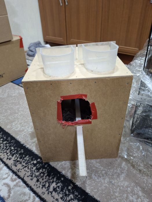 Карелла птицы продаётся