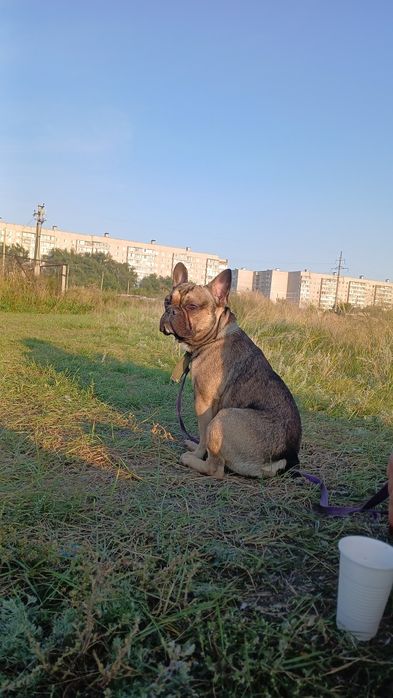 Ищем для связки невесту