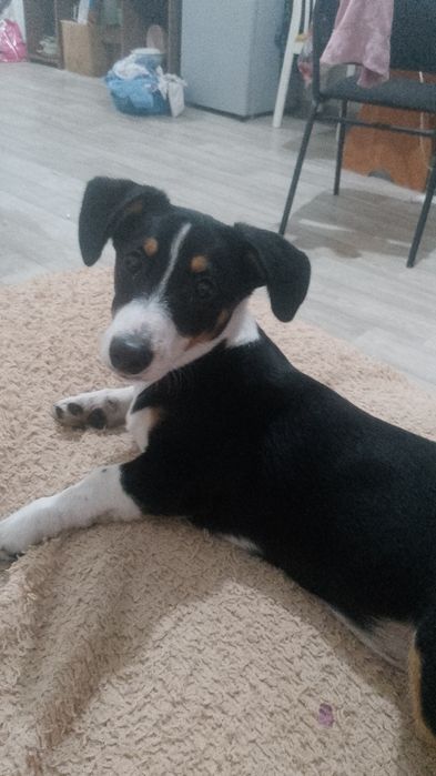 В заботливые руки