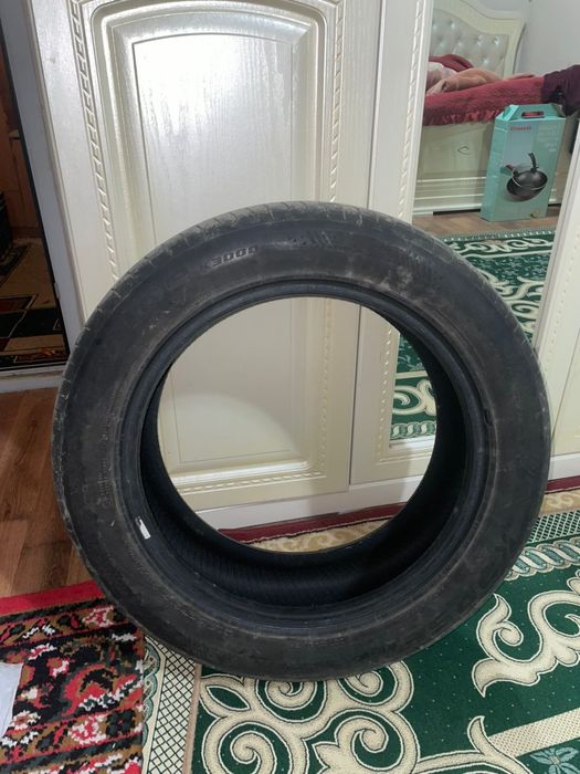 Ризина 17 лік жап жаңа