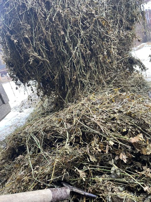 Lucerna infolita coasa a 5 vand sau schimb