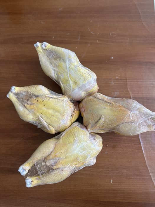 Бройлер  цыплята