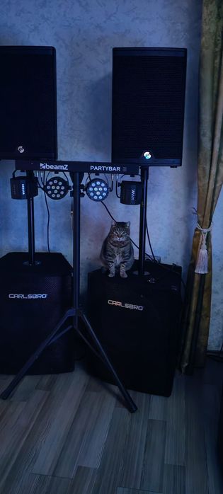 Subwoofer Carlsbro 600w