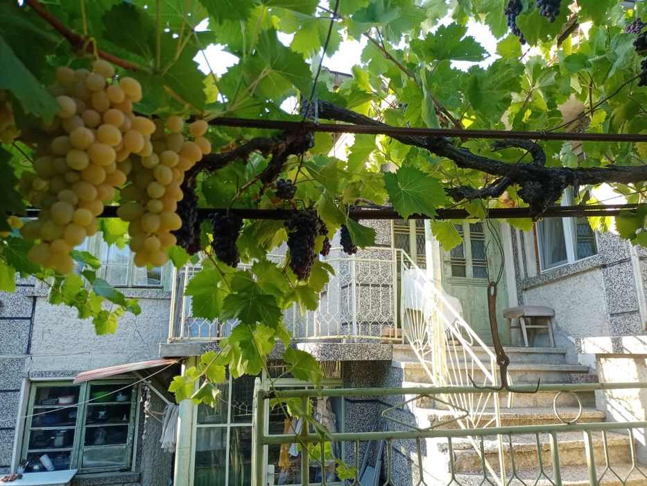 Продава се Къща в с. Ново градище, Област Велико Търново - 180 кв.м за 105 €/кв.м - Снимка #3