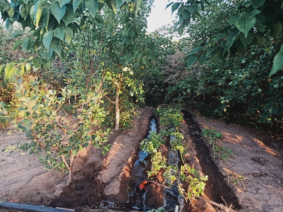 Дача на 1 водоколонке