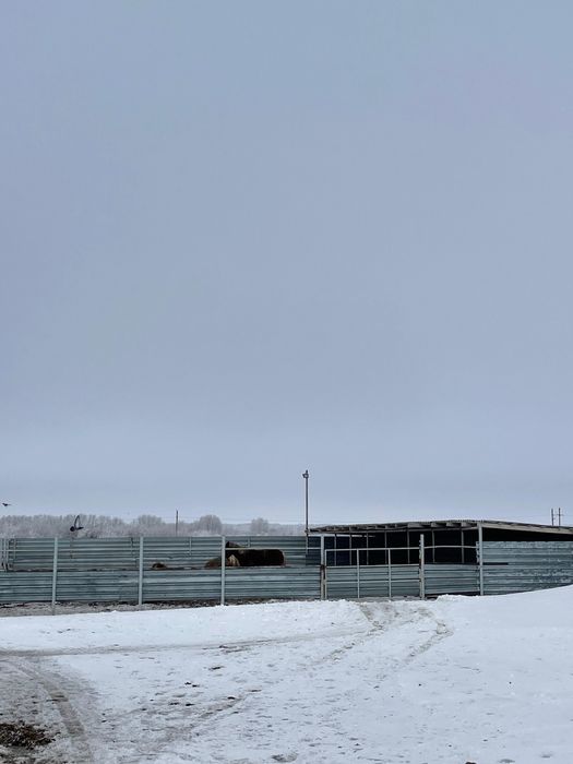 Продам дом и участок