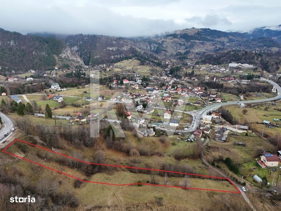 Teren intravilan Dambovicioara, Teren la munte / Repozitionare Pret