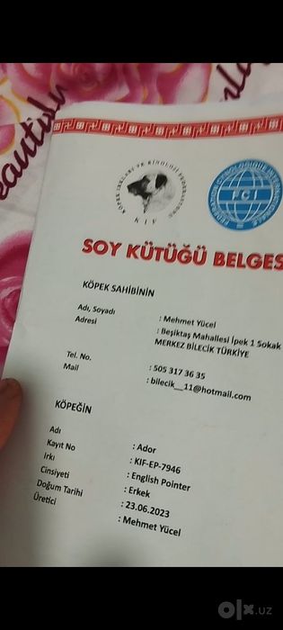 Овчи Кучук тозза Турция
