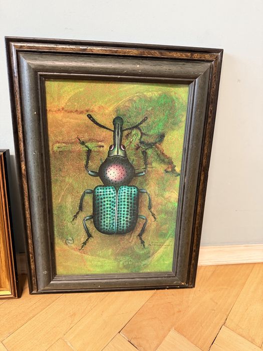 Картини с инсекти