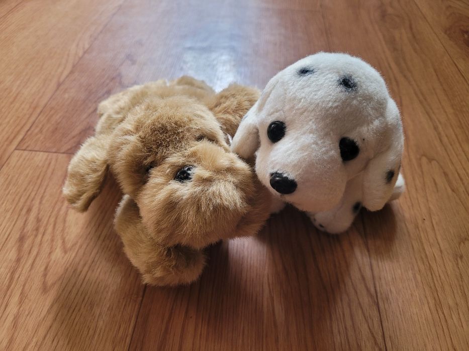 Две плюшевые собачки