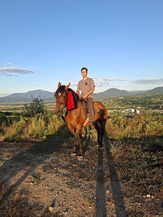 Iapă de vânzare de 9 ani