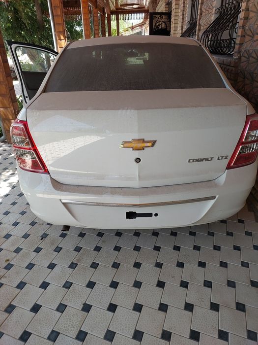Cobalt  LTZ 2025 MCM