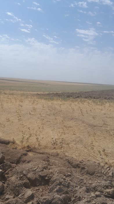 Бидайлық жер сатылады