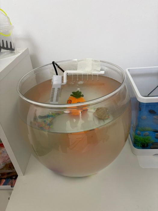 Продам аквариум 13 литров