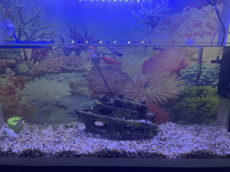 Аквариум продаю!