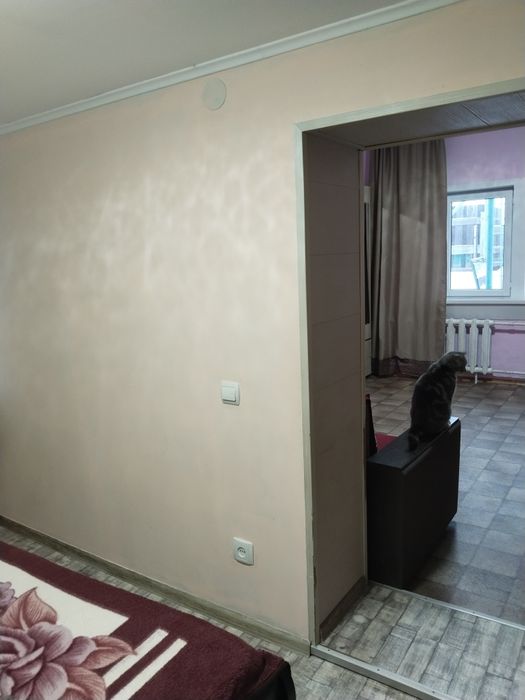 Продам 3-х комнатный дом в Риддере.