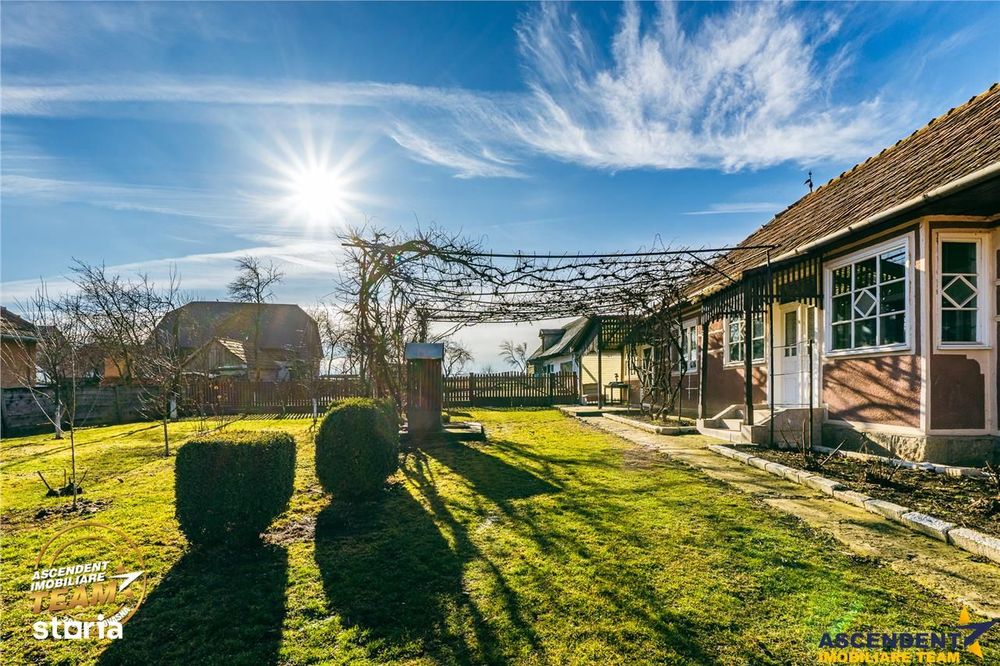 FILM! Casa traditionala, pe domeniu pretios, de 7.608 mp, Cernat, Cova