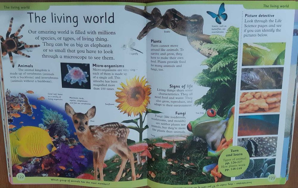 Книга DK: First Children's Encyclopedia
