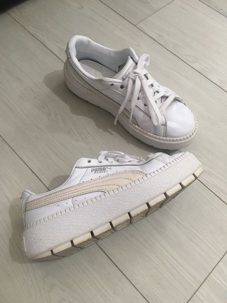 Puma creepers shop 36