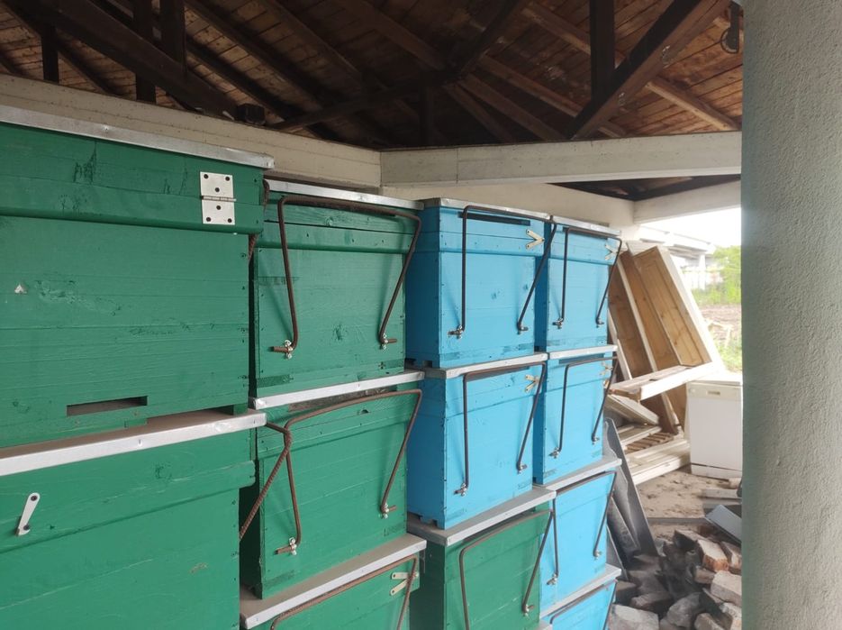 De vînzare stupi dubli noi pe 18 rame  100 buc.