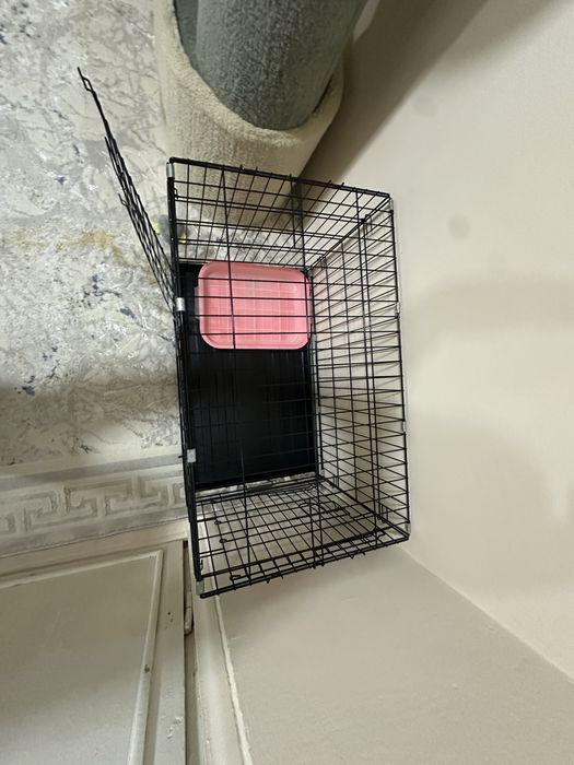 Mushu uychasi sotladi