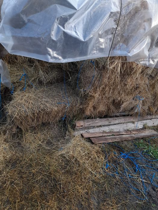 Vând baloti fan și lucerna