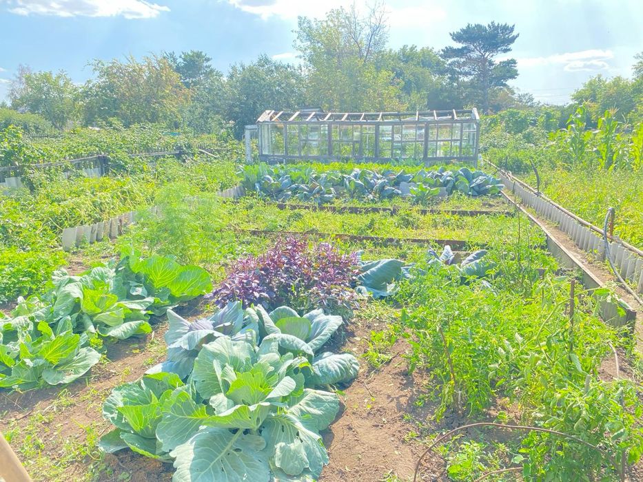 Дача на федоровке