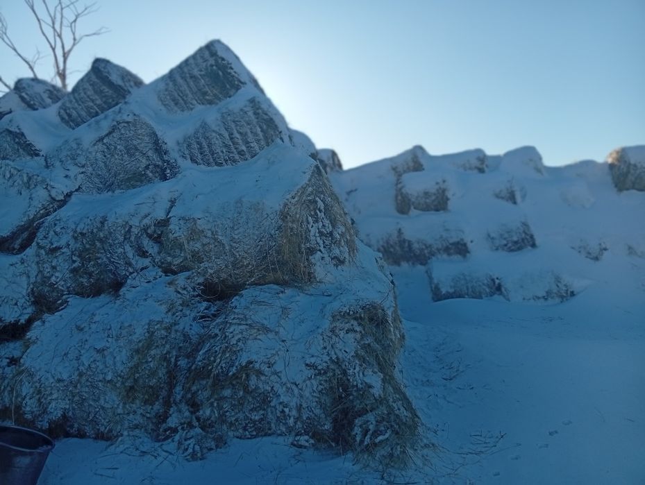 Продам сена хороший.