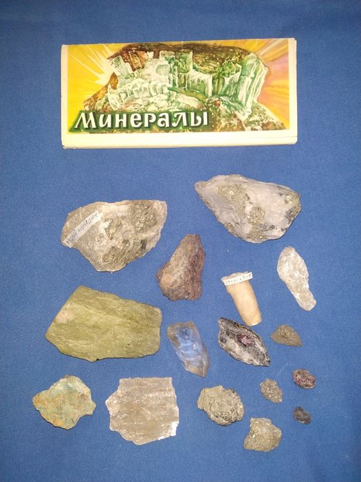 Окаменелости растений, моллюсков. Минералы.