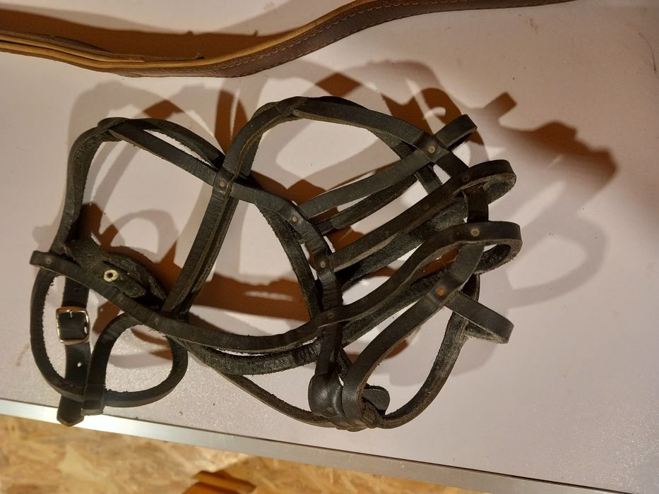 Zgarda forță, botnita și lesă câini