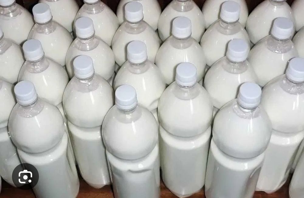 Таза табиғи бал қымыз