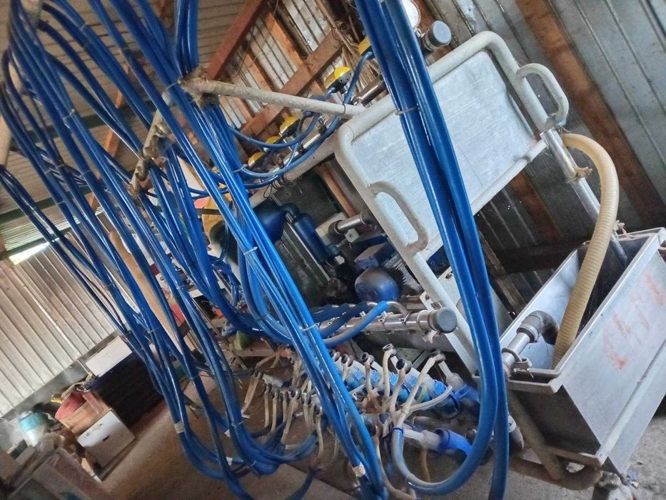 Sală de muls profesională 12 posturi – complet utilată