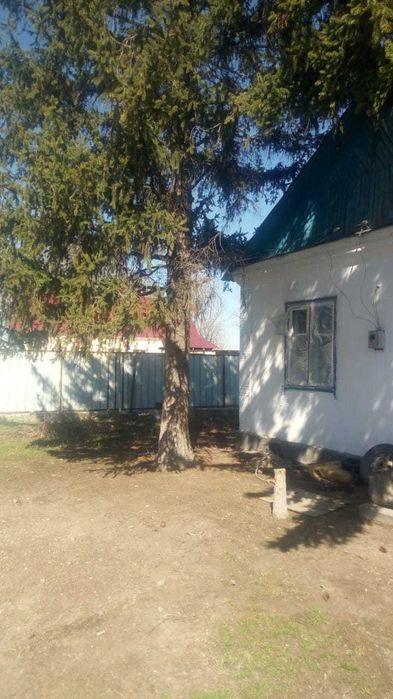 Кидравой сосына договор