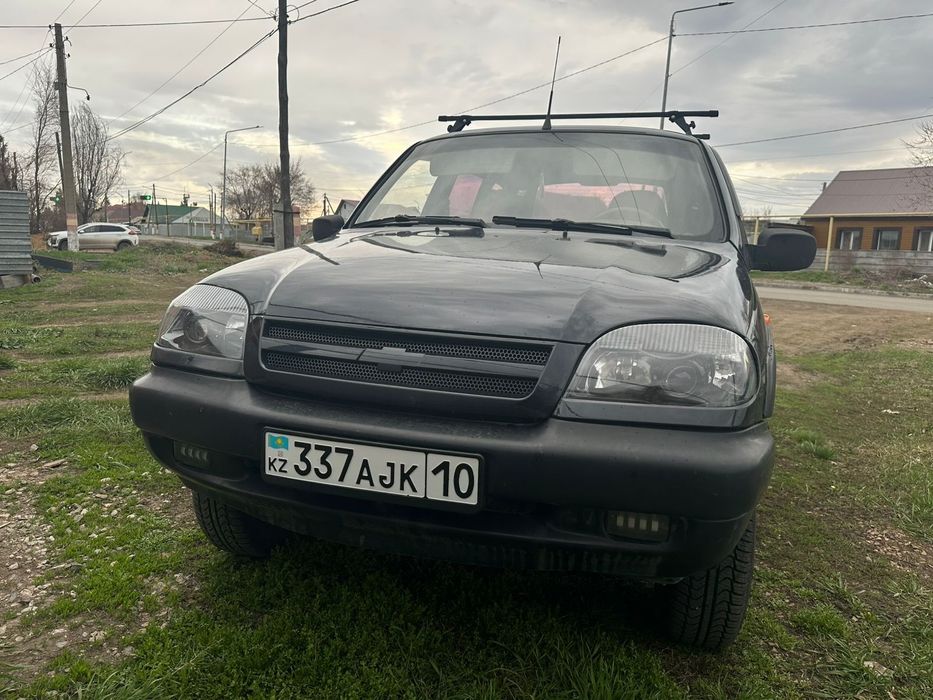 Шнива живая ездиет